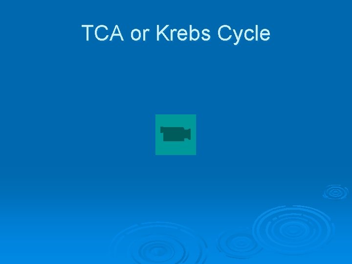 TCA or Krebs Cycle 