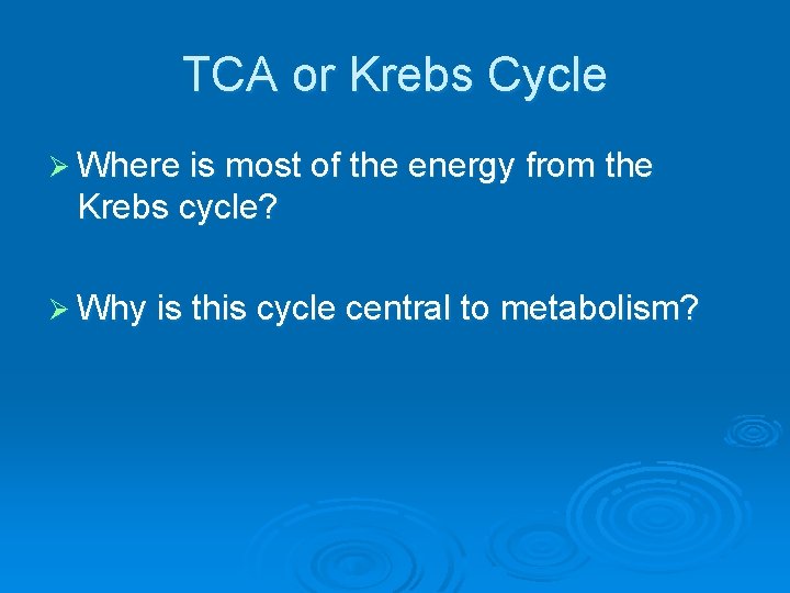 TCA or Krebs Cycle Ø Where is most of the energy from the Krebs
