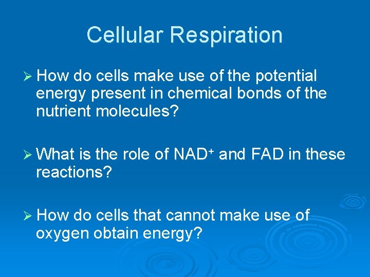 Cellular Respiration Ø How do cells make use of the potential energy present in