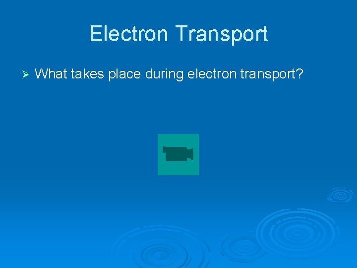 Electron Transport Ø What takes place during electron transport? 