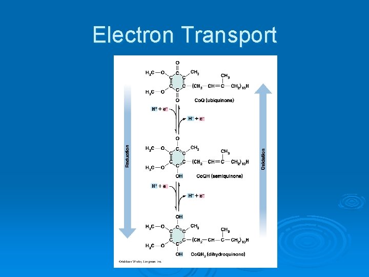 Electron Transport 