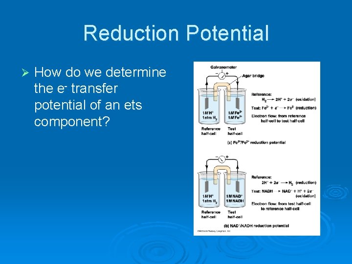 Reduction Potential Ø How do we determine the e- transfer potential of an ets