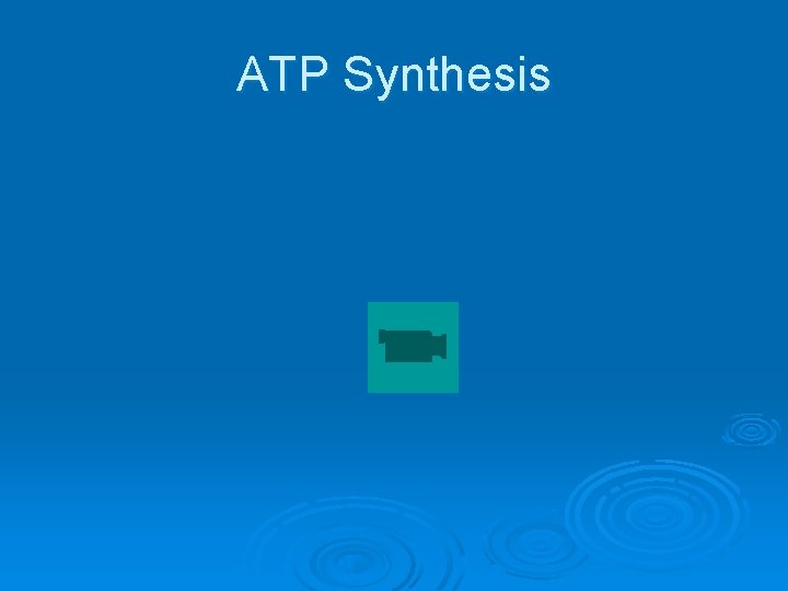 ATP Synthesis 