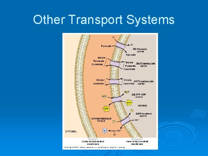 Other Transport Systems 