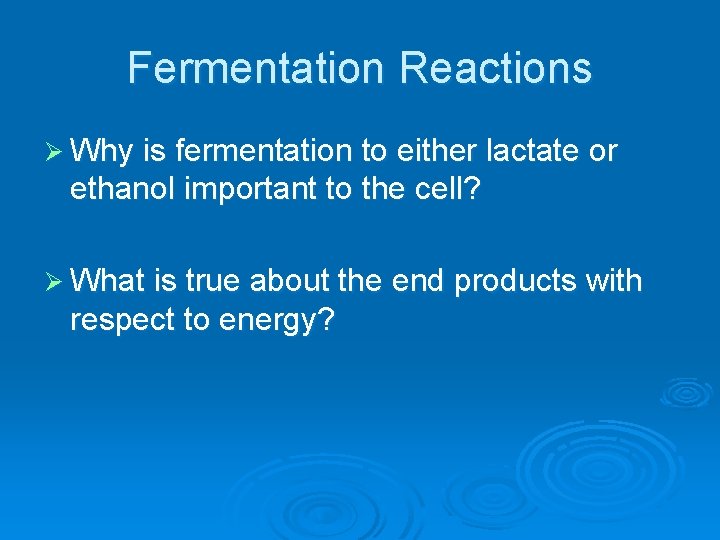 Fermentation Reactions Ø Why is fermentation to either lactate or ethanol important to the