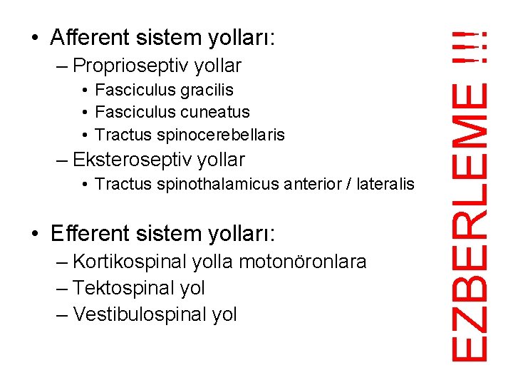 – Proprioseptiv yollar • Fasciculus gracilis • Fasciculus cuneatus • Tractus spinocerebellaris – Eksteroseptiv