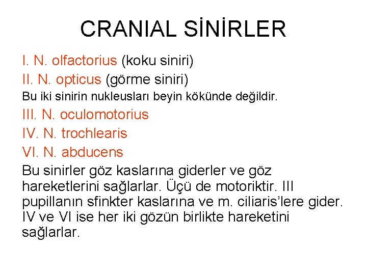 CRANIAL SİNİRLER I. N. olfactorius (koku siniri) II. N. opticus (görme siniri) Bu iki