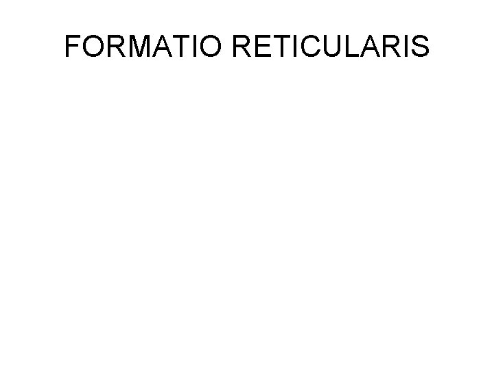 FORMATIO RETICULARIS 