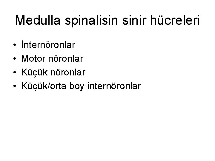 Medulla spinalisin sinir hücreleri • • İnternöronlar Motor nöronlar Küçük/orta boy internöronlar 