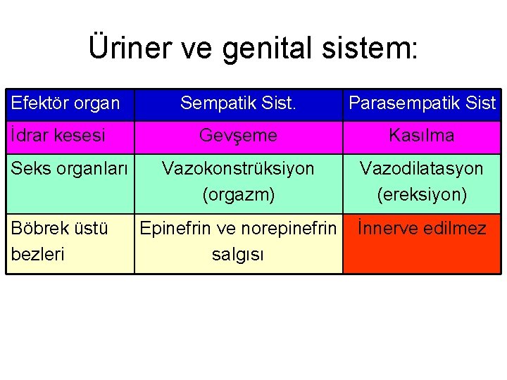 Üriner ve genital sistem: Efektör organ İdrar kesesi Seks organları Böbrek üstü bezleri Sempatik