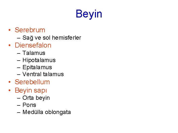 Beyin • Serebrum – Sağ ve sol hemisferler • Diensefalon – – Talamus Hipotalamus