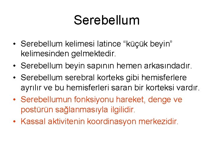 Serebellum • Serebellum kelimesi latince “küçük beyin” kelimesinden gelmektedir. • Serebellum beyin sapının hemen