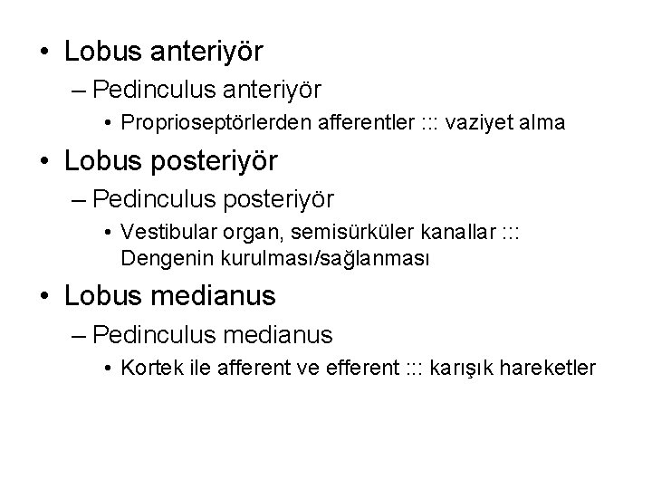  • Lobus anteriyör – Pedinculus anteriyör • Proprioseptörlerden afferentler : : : vaziyet