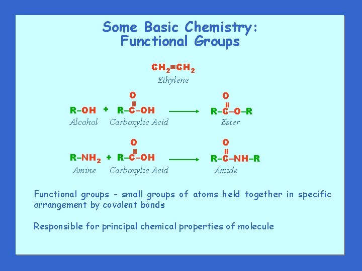 Some Basic Chemistry: Functional Groups CH 2=CH 2 Ethylene R–OH + R–C–OH Alcohol Carboxylic