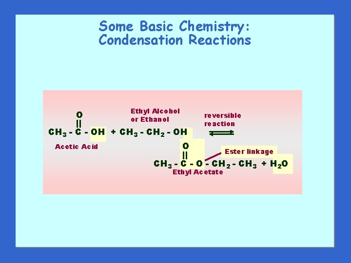 Some Basic Chemistry: Condensation Reactions O Ethyl Alcohol or Ethanol CH 3 - C