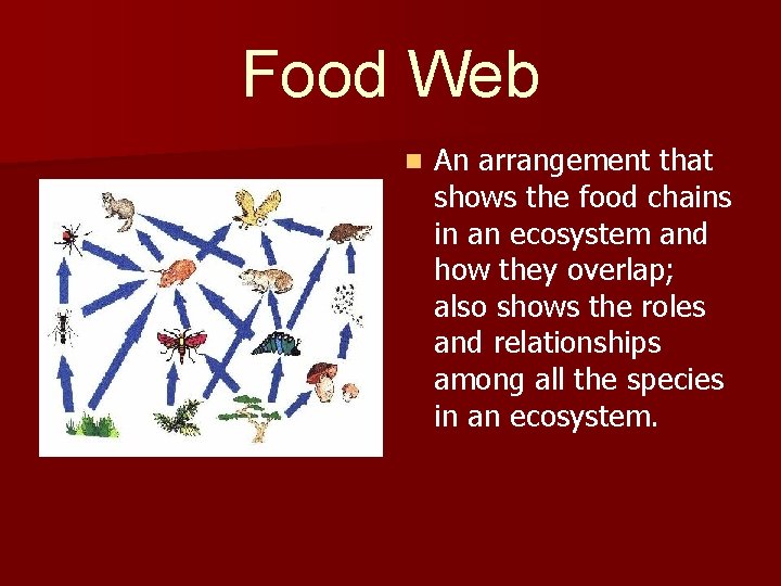 Food Web n An arrangement that shows the food chains in an ecosystem and