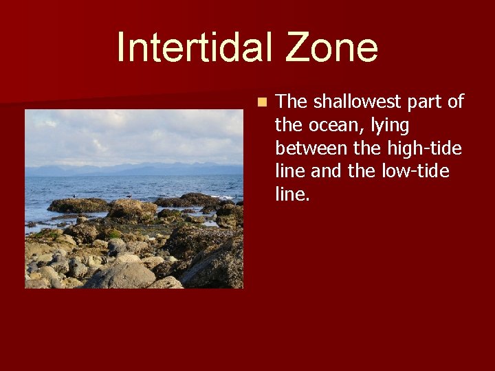Intertidal Zone n The shallowest part of the ocean, lying between the high-tide line