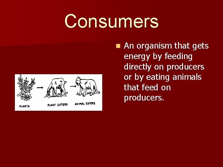 Consumers n An organism that gets energy by feeding directly on producers or by