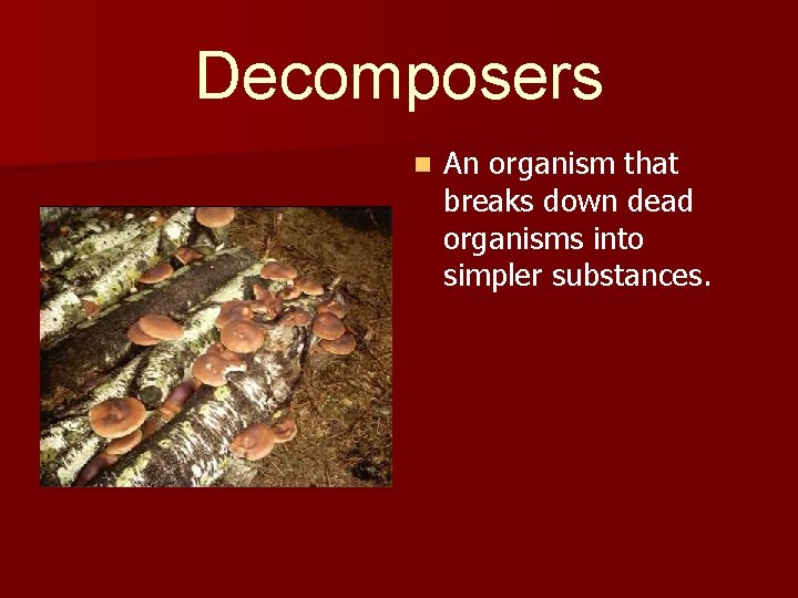 Decomposers n An organism that breaks down dead organisms into simpler substances. 