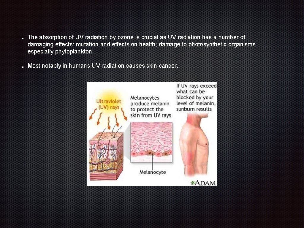 The absorption of UV radiation by ozone is crucial as UV radiation has a