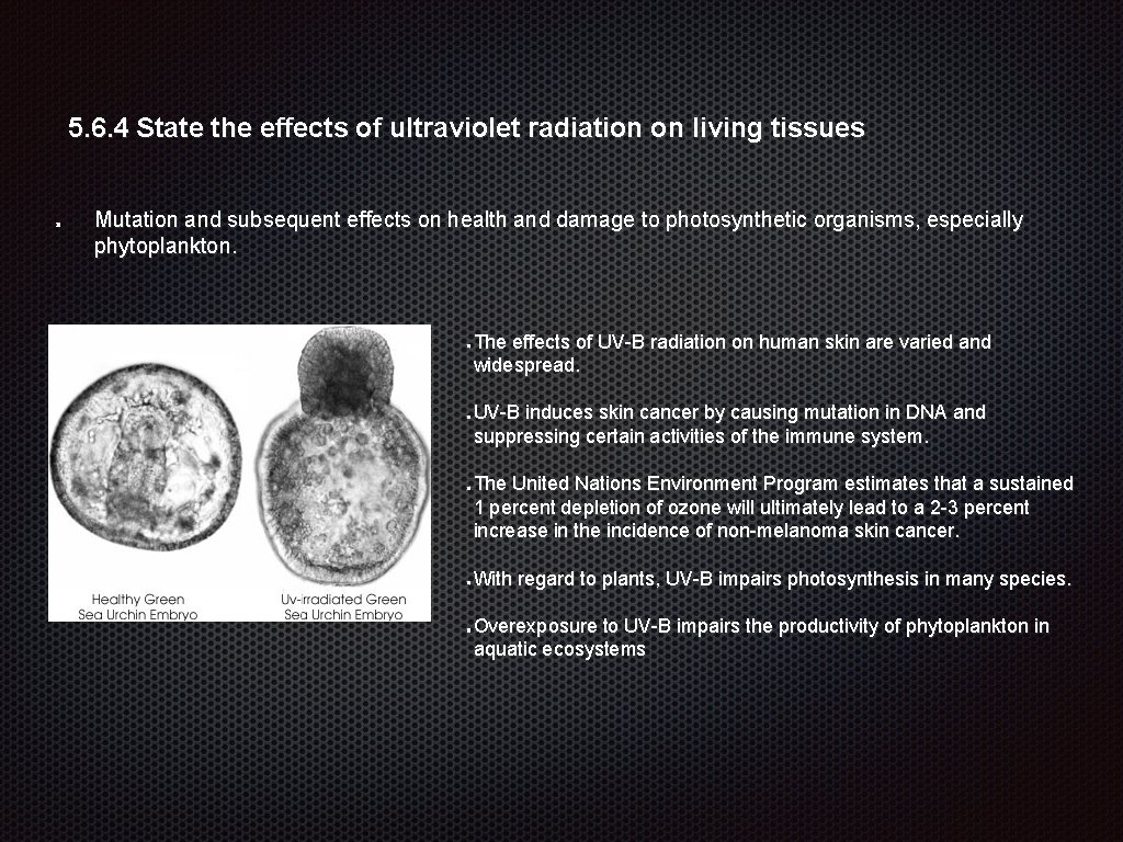 5. 6. 4 State the effects of ultraviolet radiation on living tissues Mutation and