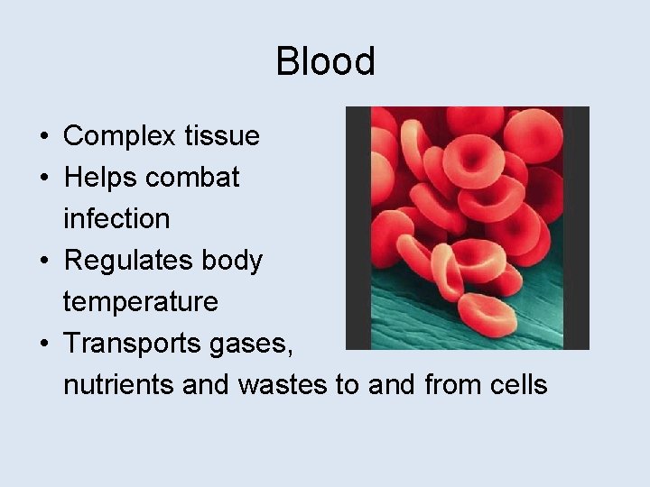 Blood • Complex tissue • Helps combat infection • Regulates body temperature • Transports