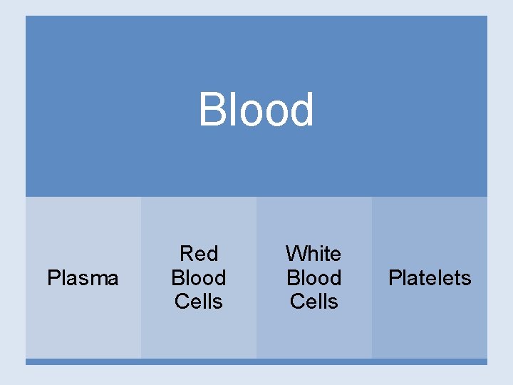 Blood Plasma Red Blood Cells White Blood Cells Platelets 