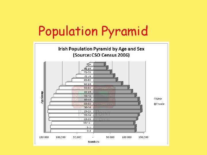 Population Pyramid 