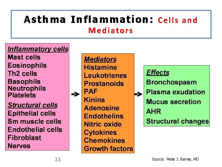 Asthma Inflammation: C e l l s a n d Mediators 33 Source: Peter