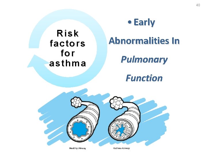 40 Risk factors for asthma • Early Abnormalities In Pulmonary Function 