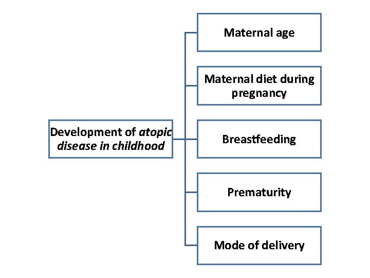 Maternal age Maternal diet during pregnancy Development of atopic disease in childhood Breastfeeding Prematurity