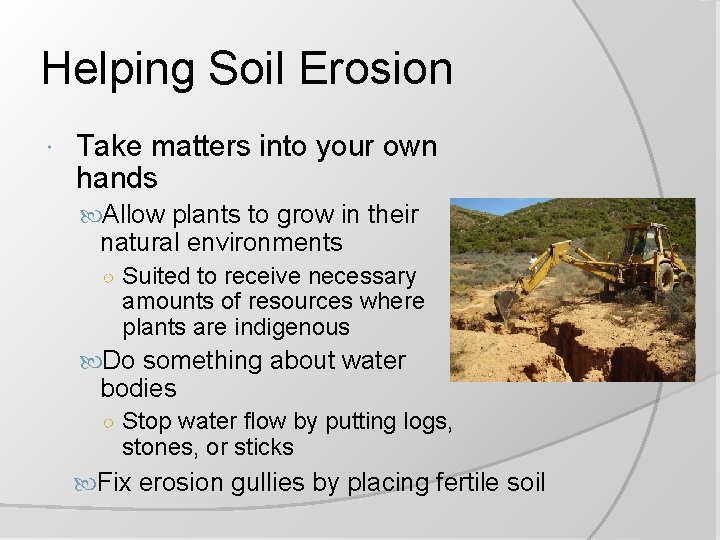 Helping Soil Erosion Take matters into your own hands Allow plants to grow in