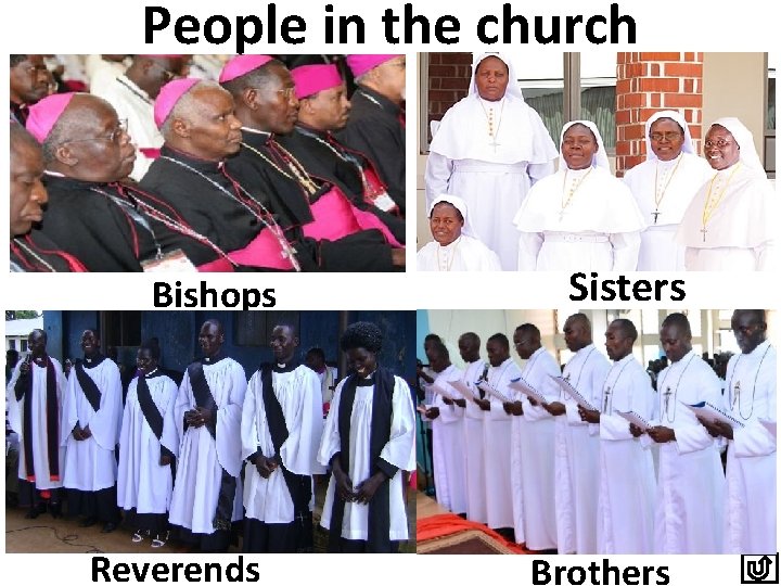 People in the church Bishops Reverends Sisters Brothers 