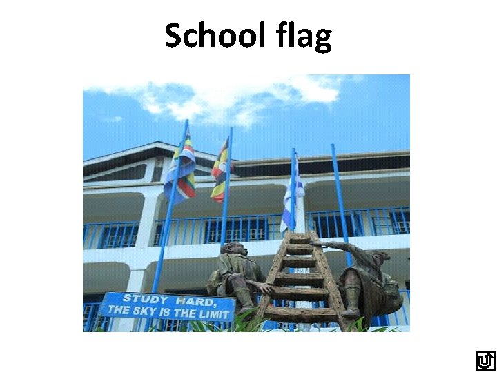 School flag 