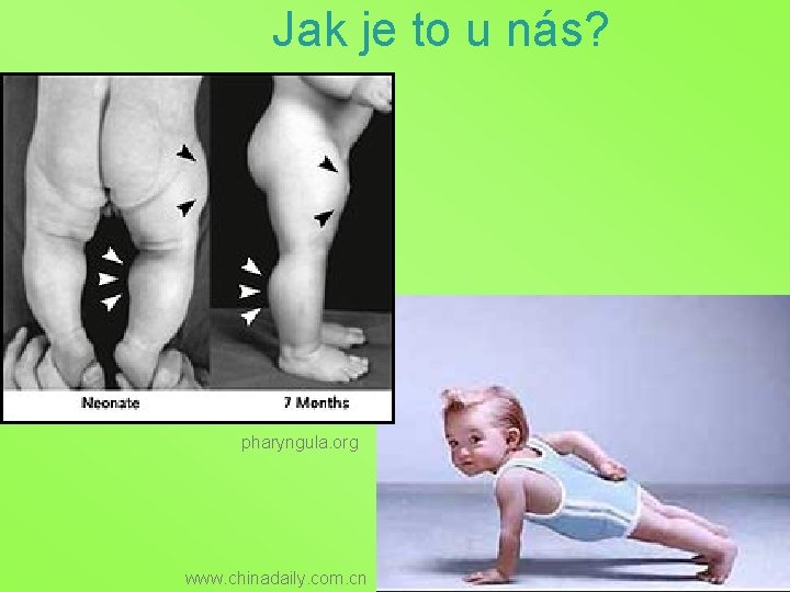 Jak je to u nás? pharyngula. org www. chinadaily. com. cn 