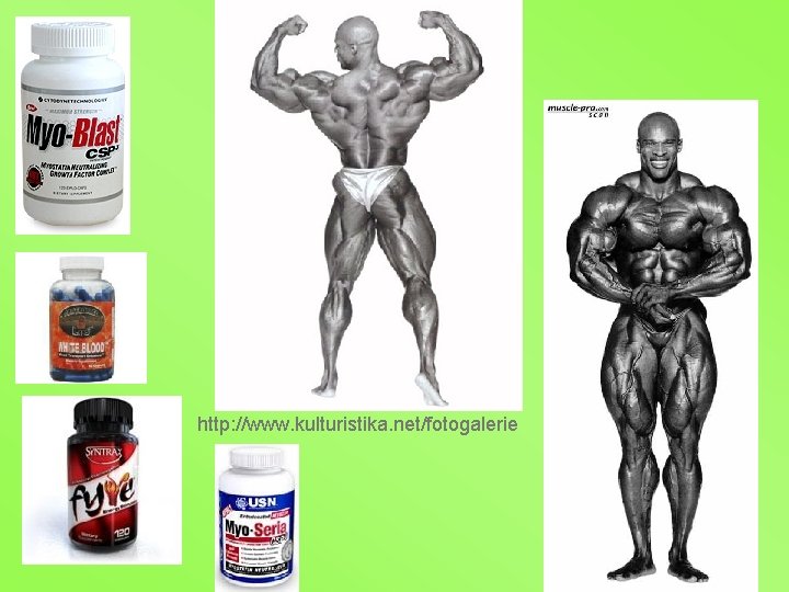http: //www. kulturistika. net/fotogalerie 