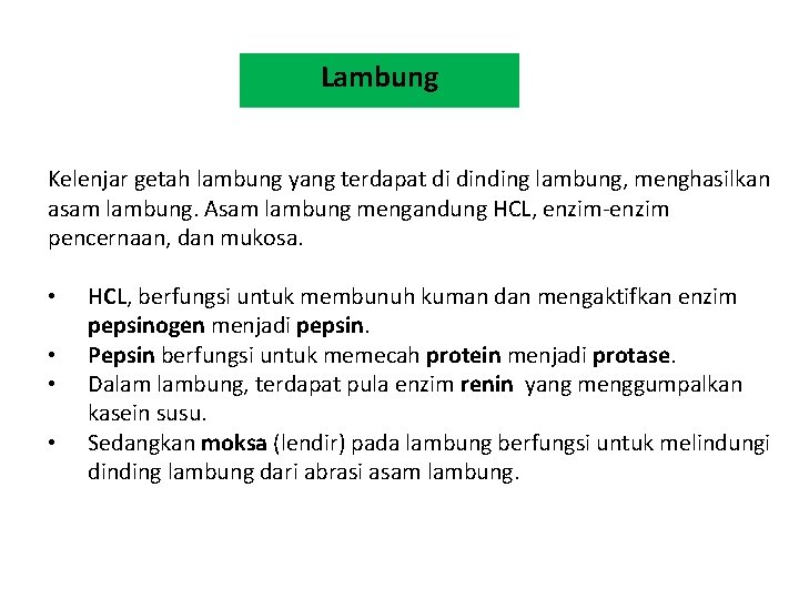 Lambung Kelenjar getah lambung yang terdapat di dinding lambung, menghasilkan asam lambung. Asam lambung