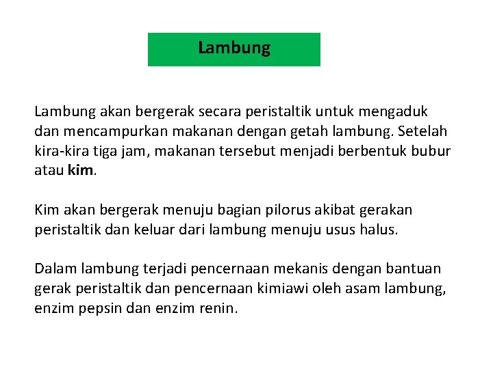 Lambung akan bergerak secara peristaltik untuk mengaduk dan mencampurkan makanan dengan getah lambung. Setelah