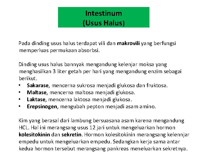 Intestinum (Usus Halus) Pada dinding usus halus terdapat vili dan makrovili yang berfungsi memperluas