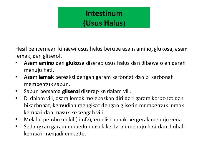 Intestinum (Usus Halus) Hasil pencernaan kimiawi usus halus berupa asam amino, glukosa, asam lemak,