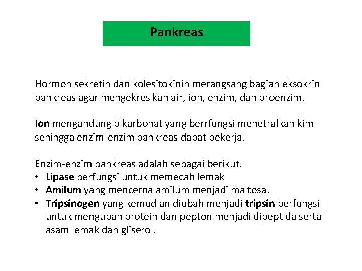 Pankreas Hormon sekretin dan kolesitokinin merangsang bagian eksokrin pankreas agar mengekresikan air, ion, enzim,