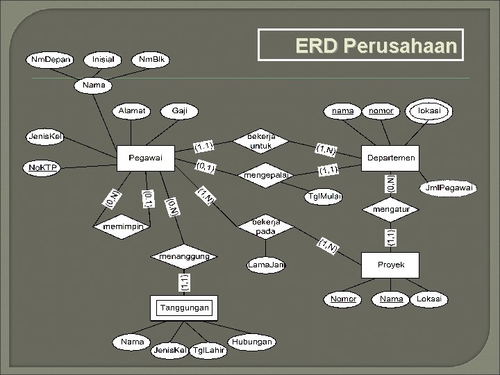 ERD Perusahaan 