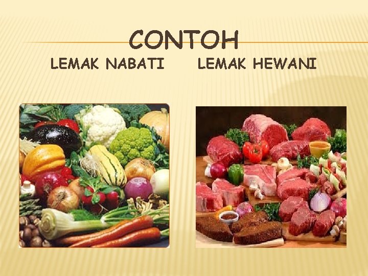 CONTOH LEMAK NABATI LEMAK HEWANI 