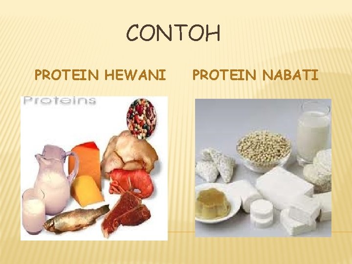 CONTOH PROTEIN HEWANI PROTEIN NABATI 