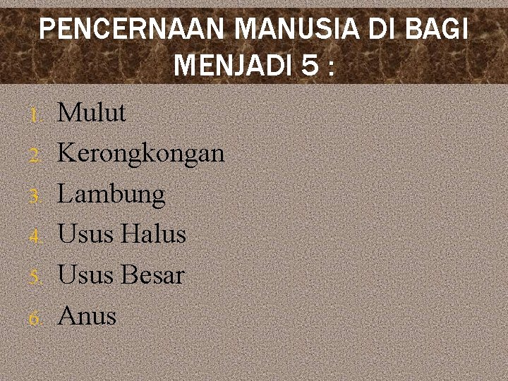 PENCERNAAN MANUSIA DI BAGI MENJADI 5 : 1. 2. 3. 4. 5. 6. Mulut