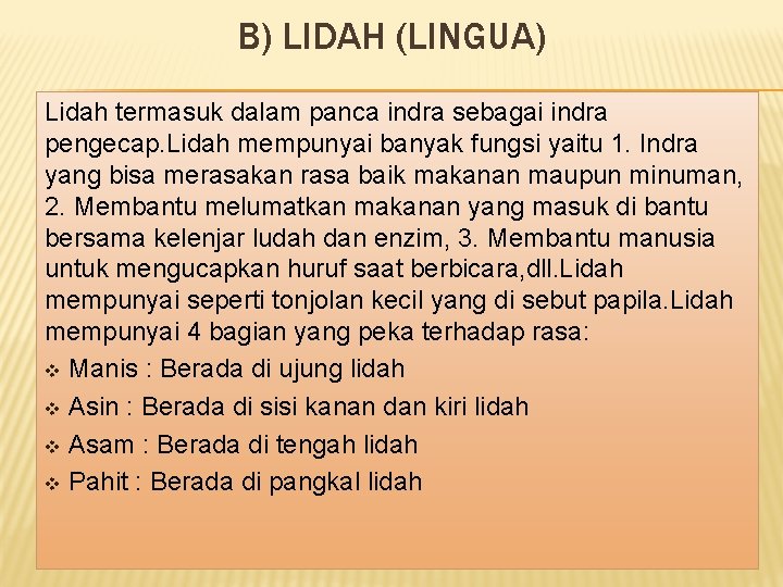 B) LIDAH (LINGUA) Lidah termasuk dalam panca indra sebagai indra pengecap. Lidah mempunyai banyak