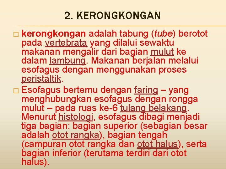 2. KERONGKONGAN � kerongkongan adalah tabung (tube) berotot pada vertebrata yang dilalui sewaktu makanan