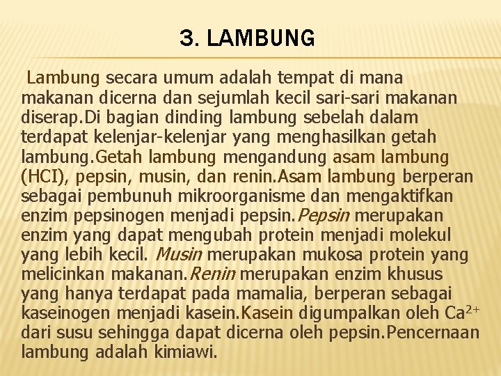 3. LAMBUNG Lambung secara umum adalah tempat di mana makanan dicerna dan sejumlah kecil