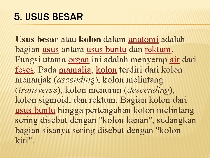 5. USUS BESAR Usus besar atau kolon dalam anatomi adalah bagian usus antara usus