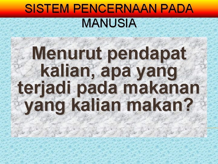 SISTEM PENCERNAAN PADA MANUSIA Menurut pendapat kalian, apa yang terjadi pada makanan yang kalian